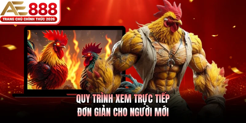 Đá Gà Trực Tiếp AE888 - Sống Động Từng Phút Giao Tranh 3 Quy trình xem trực tiếp đơn giản cho người mới